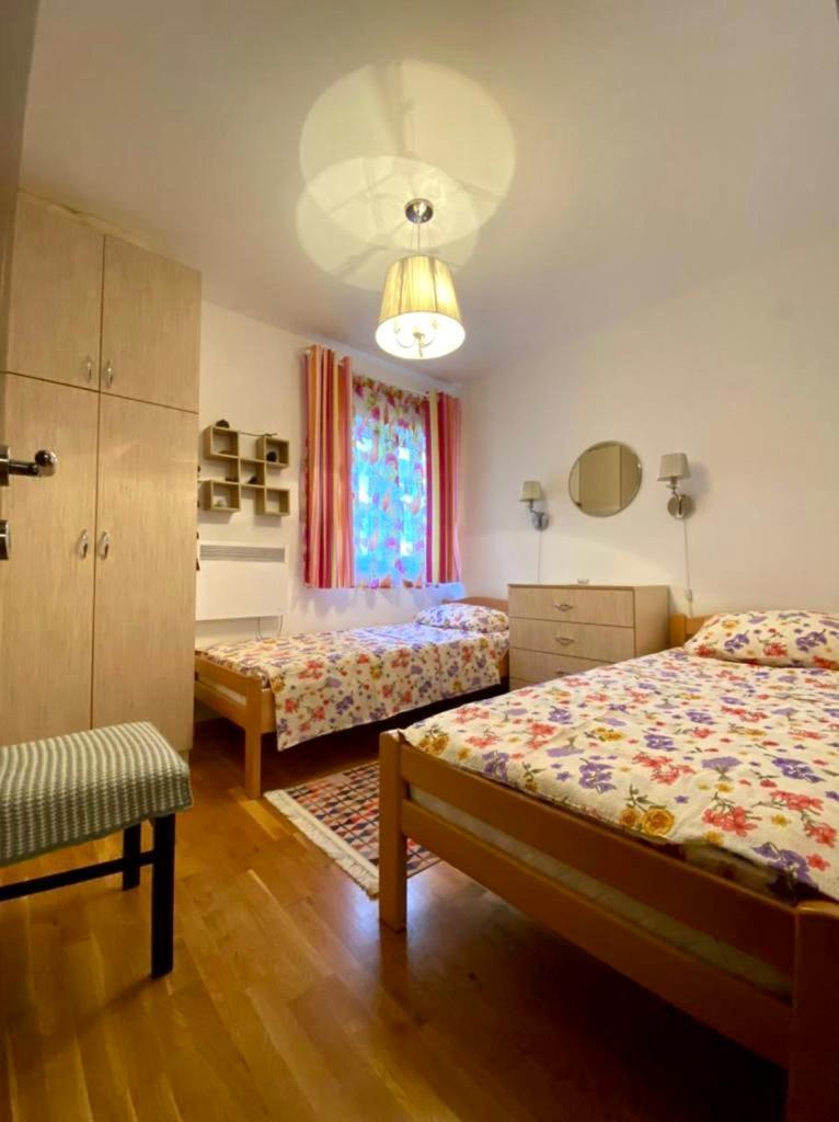Apartment Liza Petrovac Exteriör bild